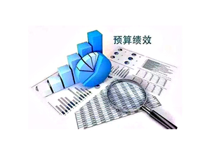 預算績效管理信息系統